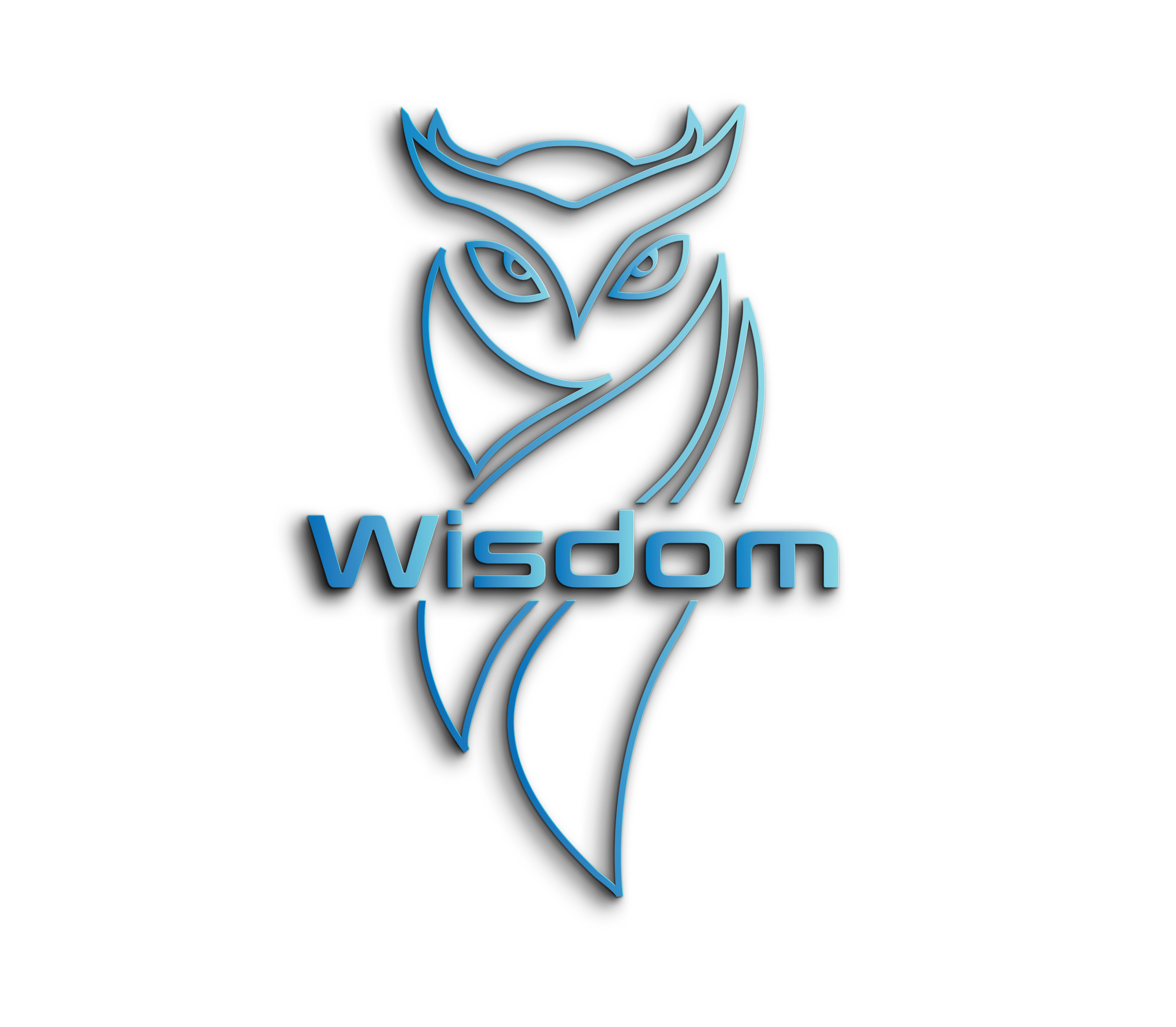 Wisdom Srl Agency Logo